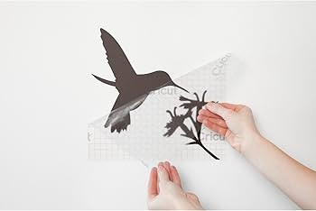 Cricut Transfer Tape - 1ft x 21ft - Easy Transfer Adhesive Sheet for Vinyl Projects - Compatible ... | Amazon (US)