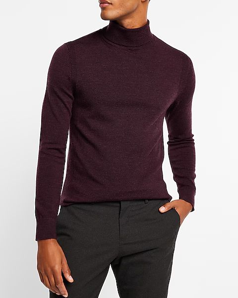 Solid Merino Wool Turtleneck Sweater | Express