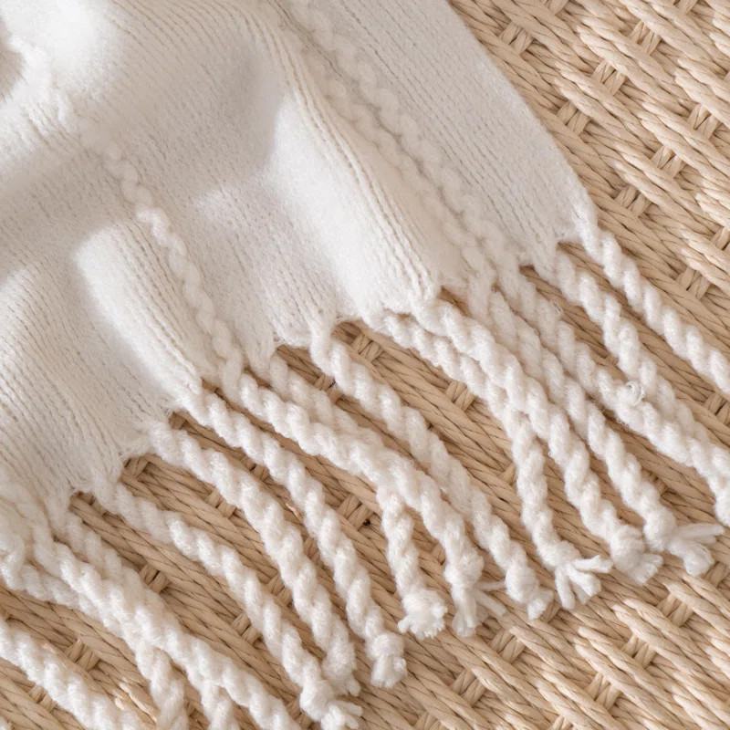 Aleda Woven Throw Blanket | Wayfair North America
