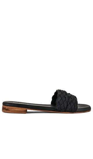 Papagayo Sandal in Black | Revolve Clothing (Global)