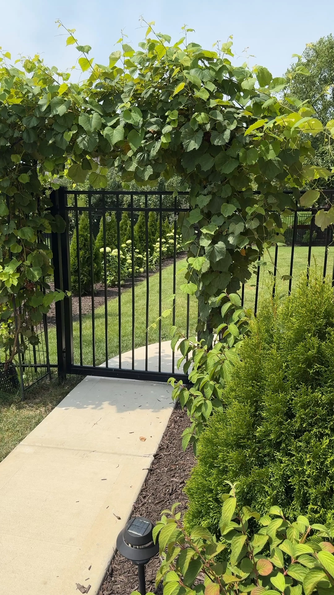 Garden trellis, arbor 

#LTKHome #LTKSeasonal