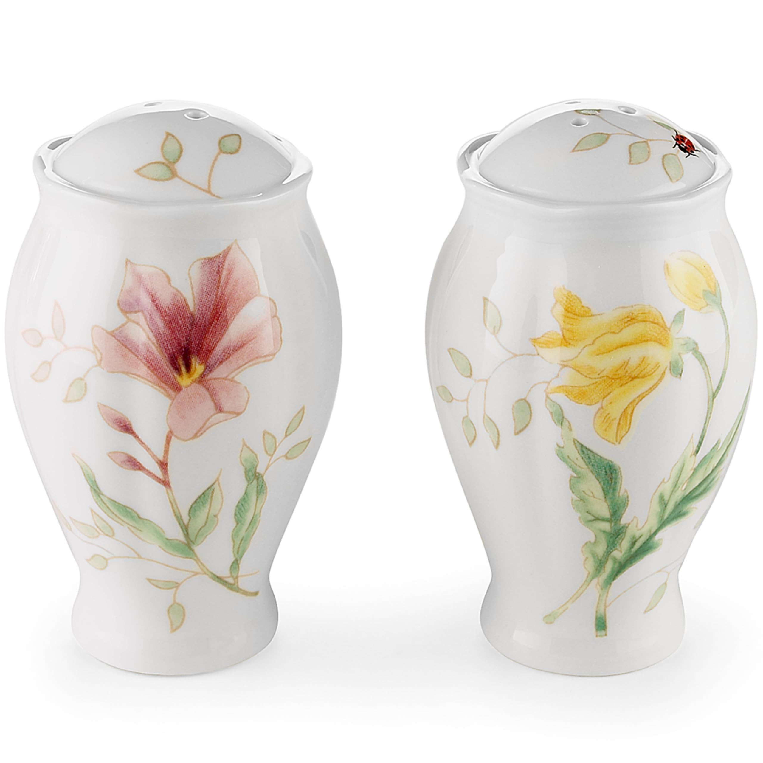 Lenox Butterfly Meadow Salt and Pepper Shaker Set | Amazon (US)