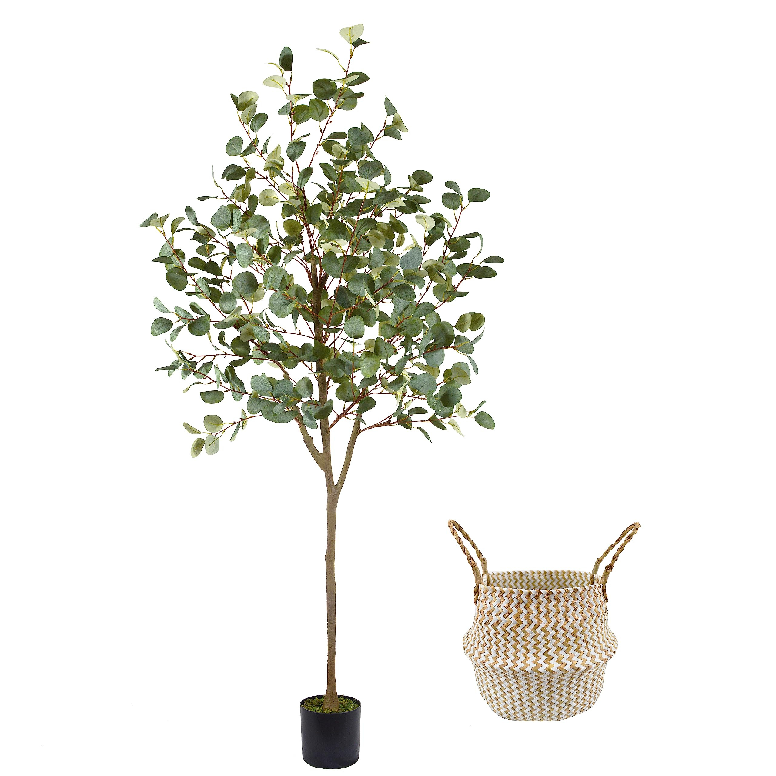 Artificial Eucalyptus Tree, 6ft Tall Fake Eucalyptus Plant with Basket, Green Silver Dollars Silk... | Amazon (US)