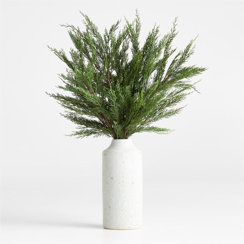Cypress Stem Faux Plant in Medium Ema White Ceramic Vase | Crate & Barrel | Crate & Barrel