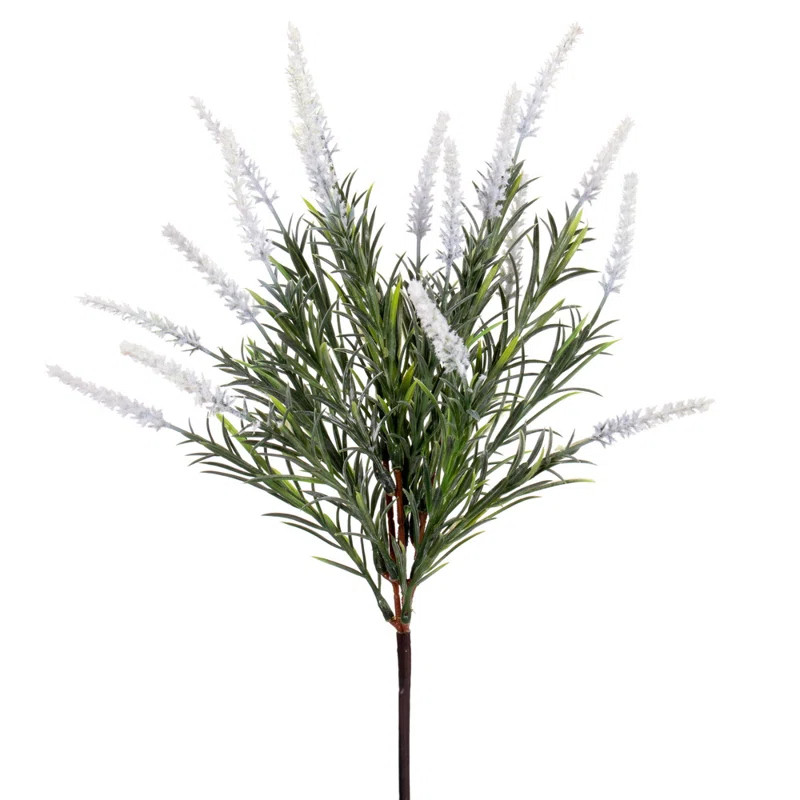 Rosemary Arrangement | Wayfair North America