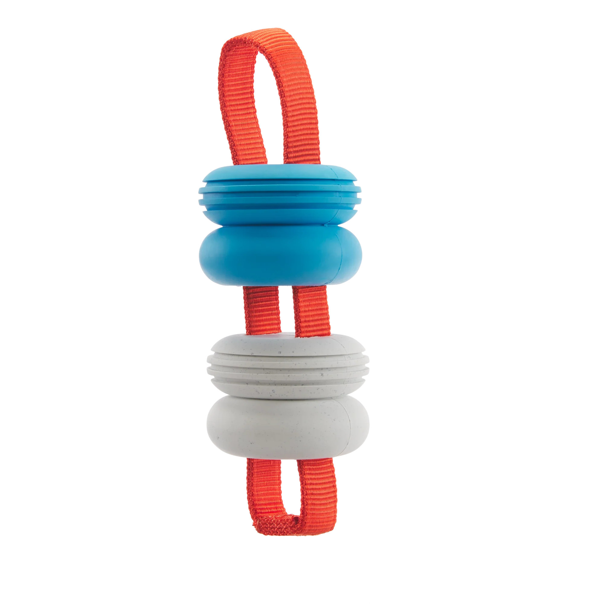 Swimming Pull | BARK