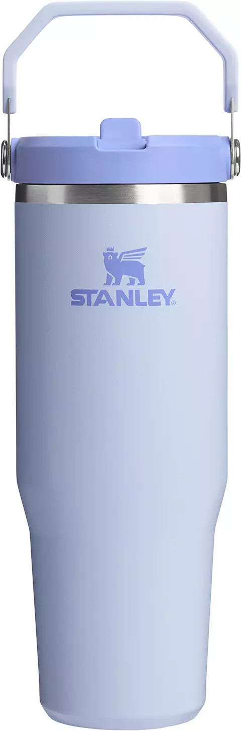 Stanley 30 oz. IceFlow 2.0 Flip Straw Tumbler | DICK'S Sporting Goods