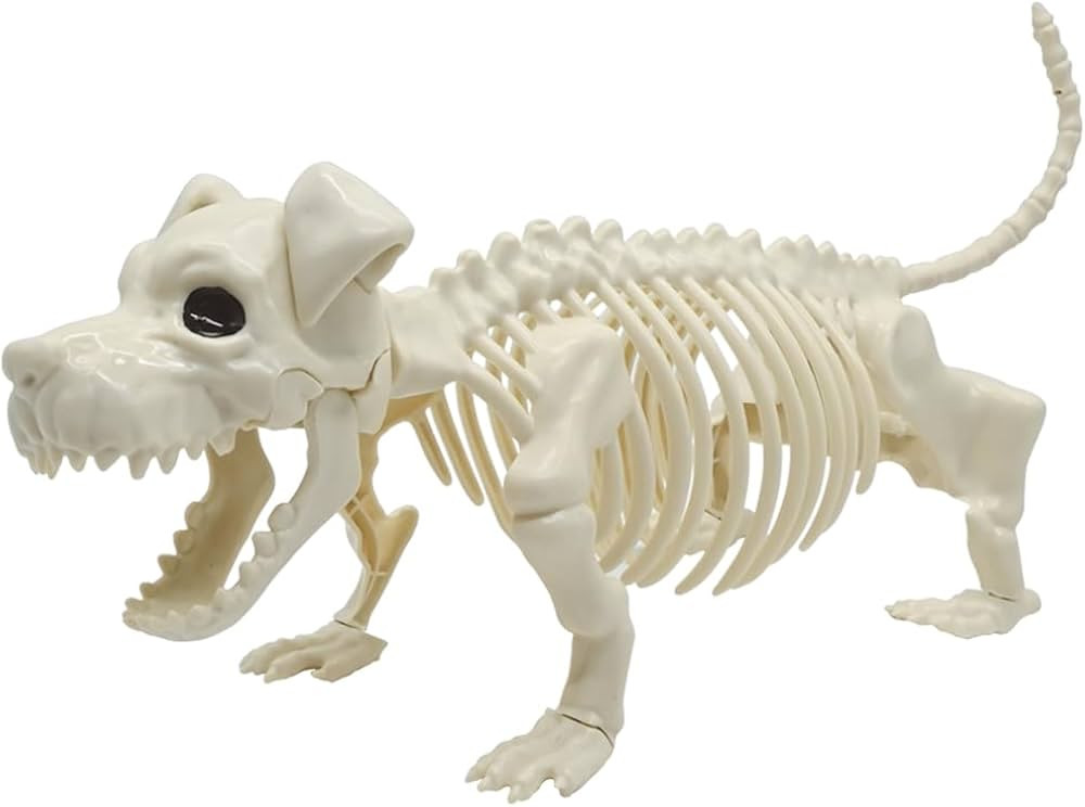Halloween Decoration Skeleton Dog, Skeleton Animal Plastic Puppy with Posable Joints for Hallowee... | Amazon (US)