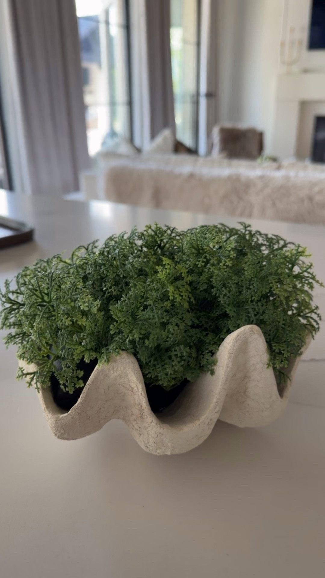 Moss shell bowl