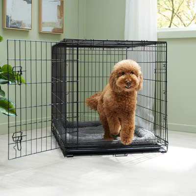 Frisco Fold & Carry Single Door Collapsible Wire Dog Crate, Large | Chewy