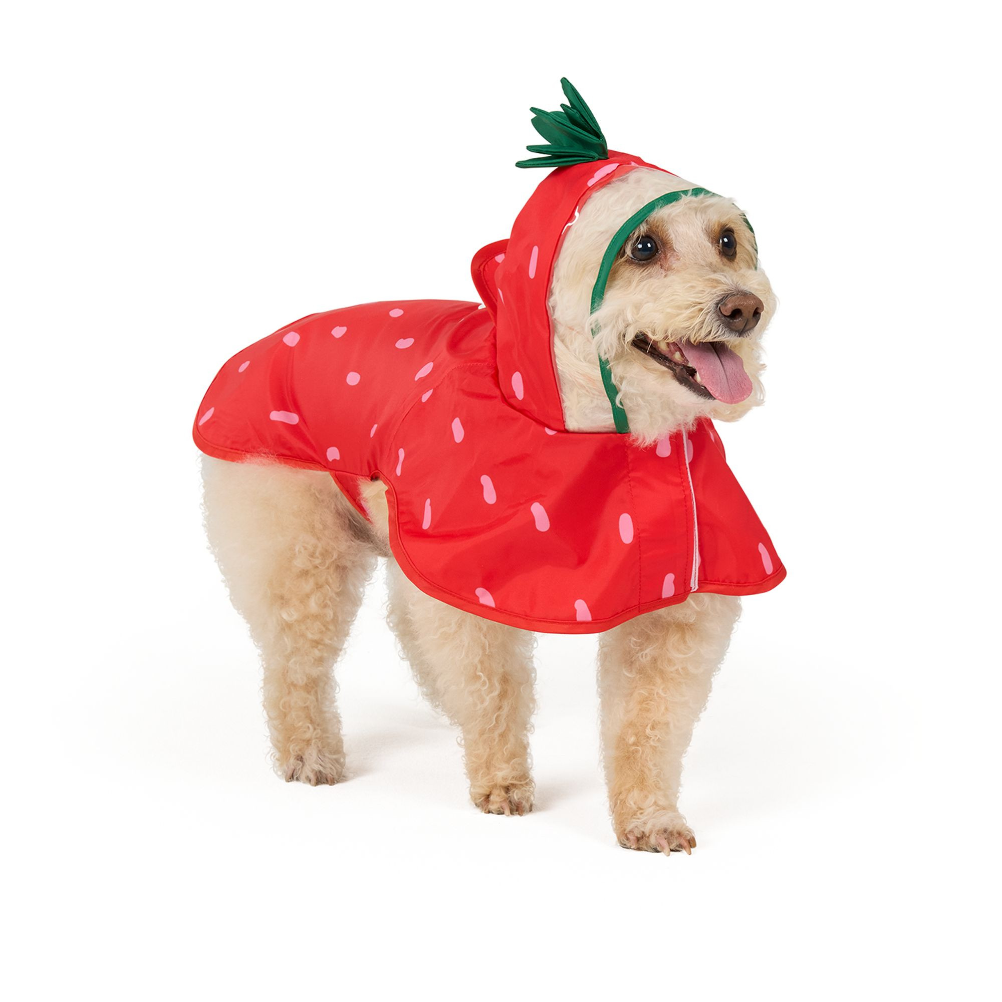 Top Paw® Strawberry Raincoat | PetSmart