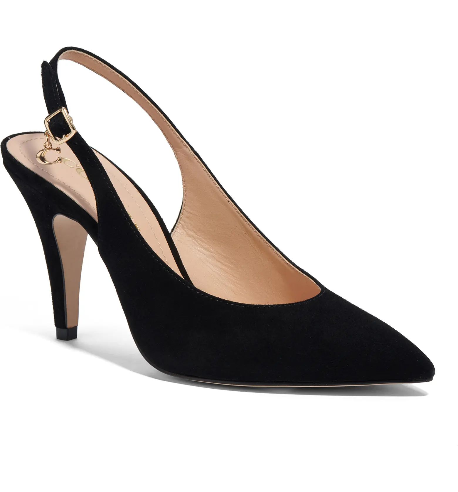 Sutton Slingback Pointed Toe Pump (Women) | Nordstrom