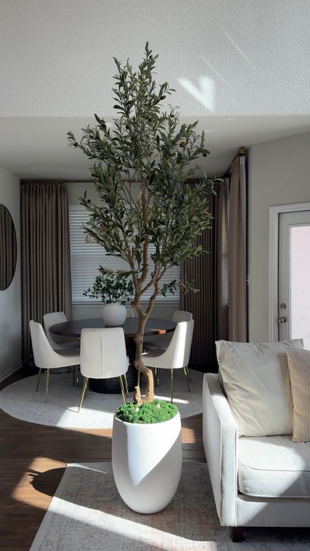 Shop my olive tree from amazon



#LTKhome #LTKVideo #LTKstyletip