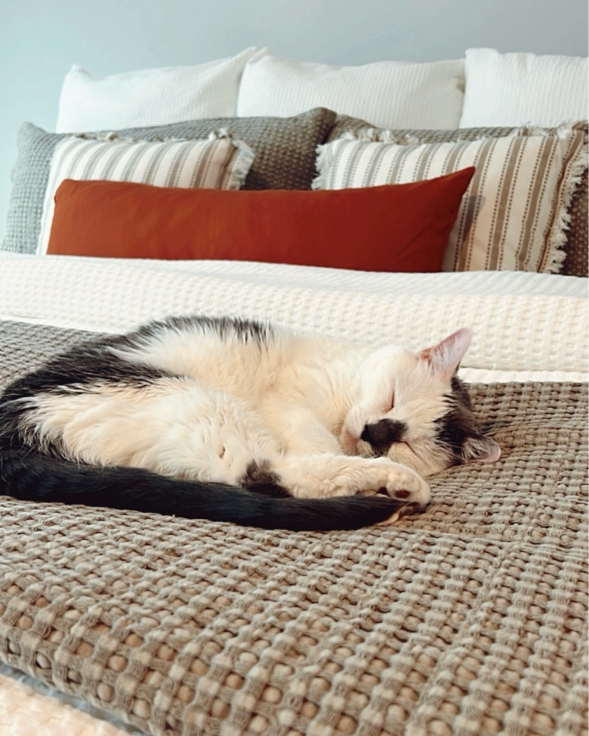 Cozy up your home with this fall decor!🍂 Give a fall refresh to your bedroom or living room with this new fall bedding.

Adding the burnt orange throw pillows, orange throw blanket, taupe quilt + matching taupe pillow shams on top of our neutral bedding was a simple, easy, and affordable way to refresh our bedroom + give it a fall feel.

The pumpkin pillows are trending this fall!

#LTKSeasonal #LTKStyleTip #LTKHome