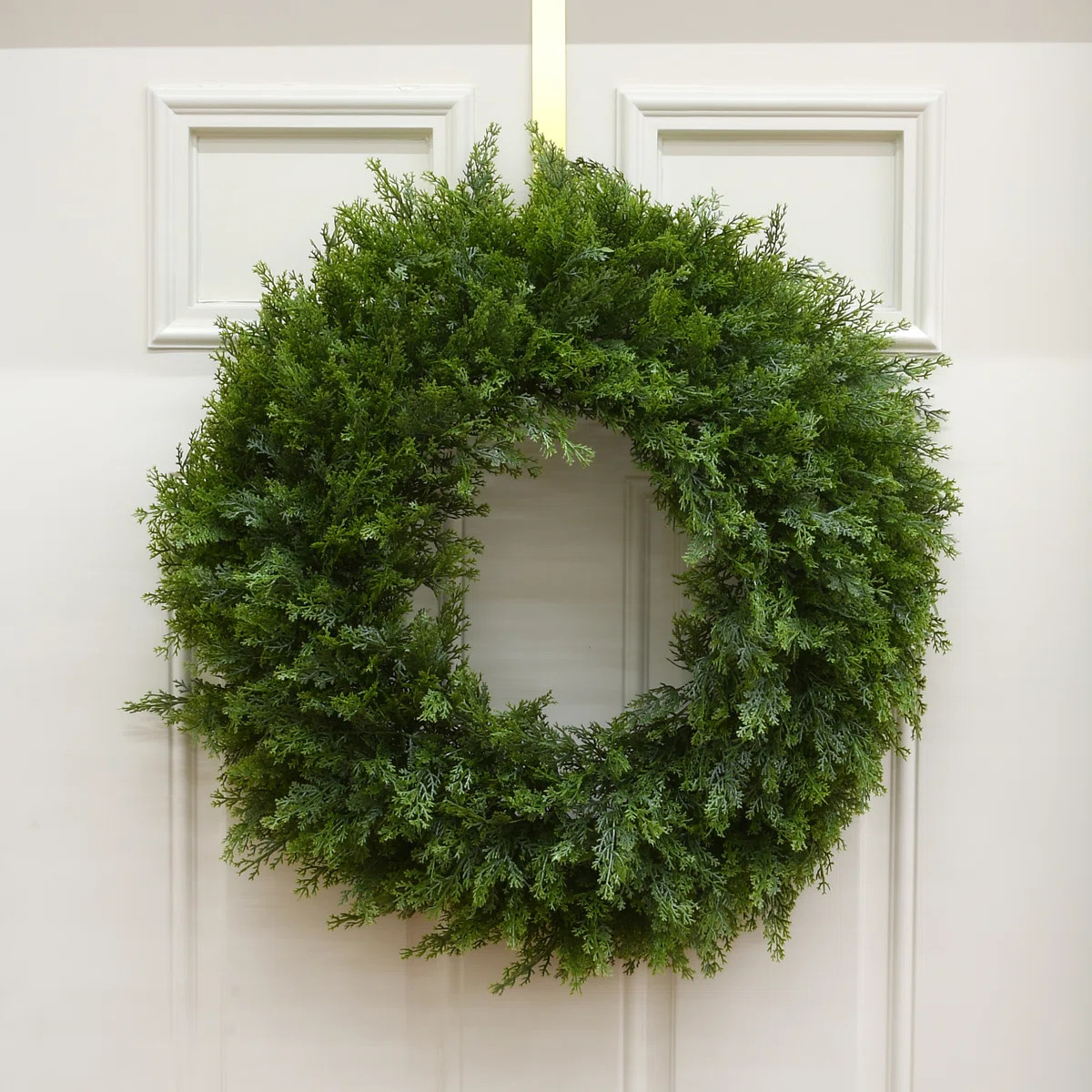 24" Arborvitae Wreath | Wayfair North America