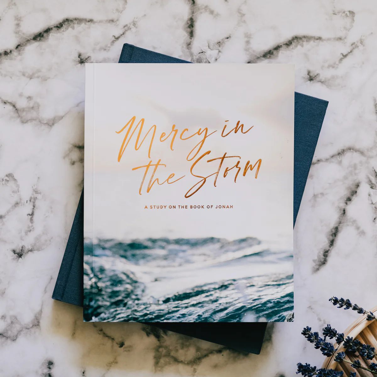 Mercy in the Storm | Jonah Study | The Daily Grace Co.