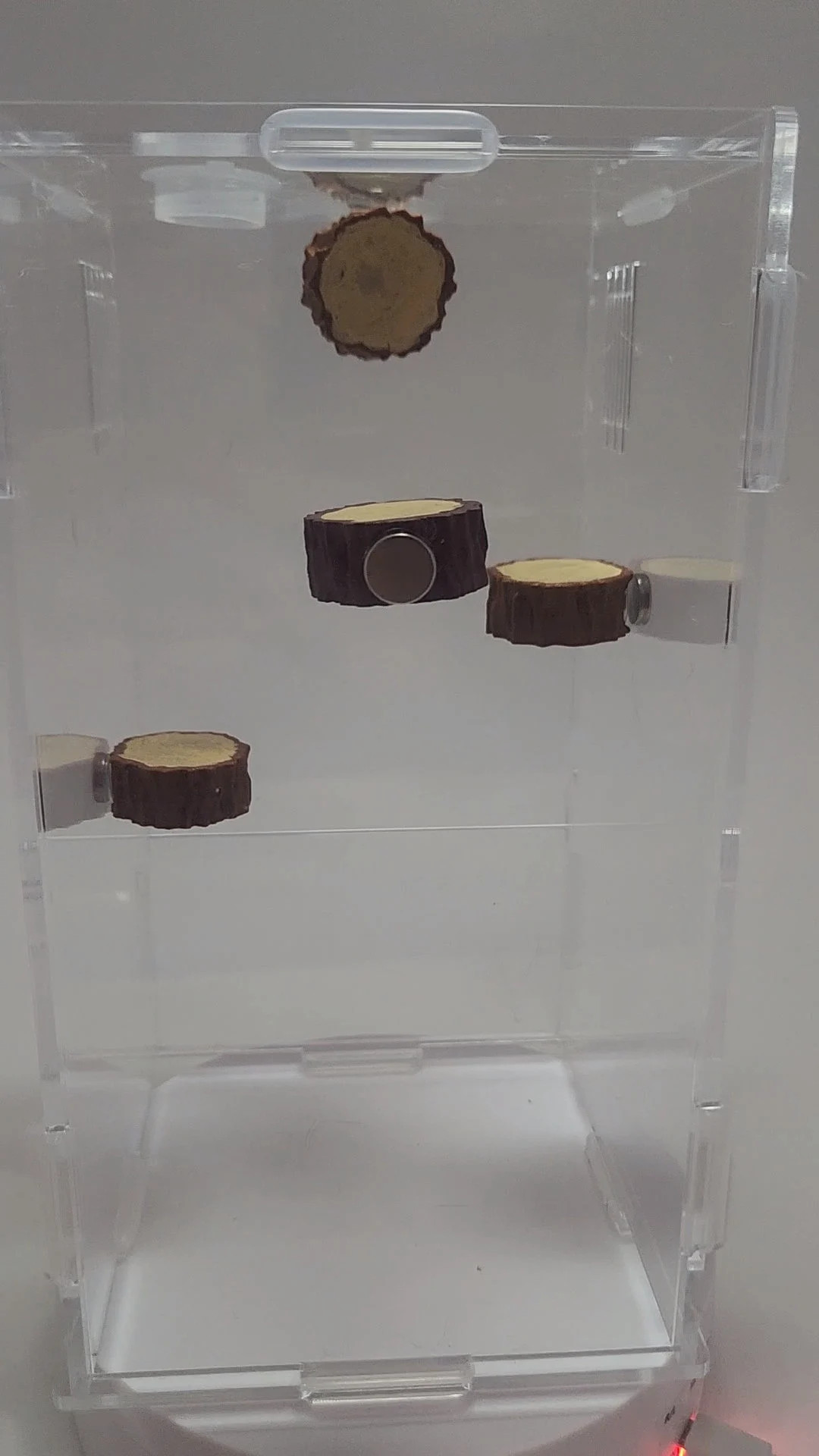 3D Printed Magnetic Spider Platforms Set of 3, Terrarium Platforms - Etsy | Etsy (US)