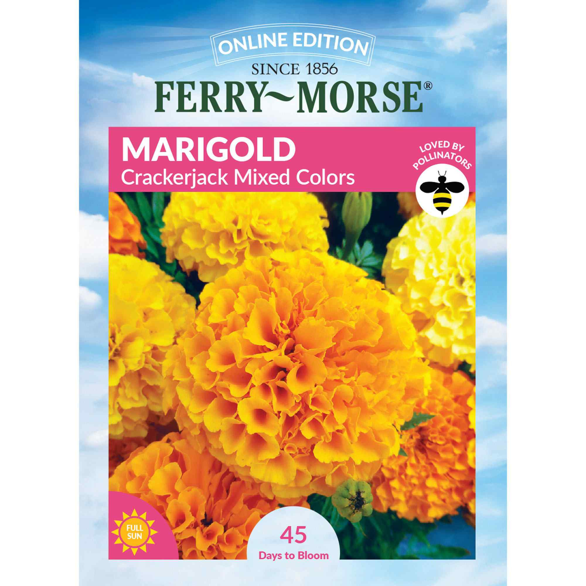 Ferry-Morse Marigold Seeds 500 Milligram(s) | LC25.6001 | Lowe's
