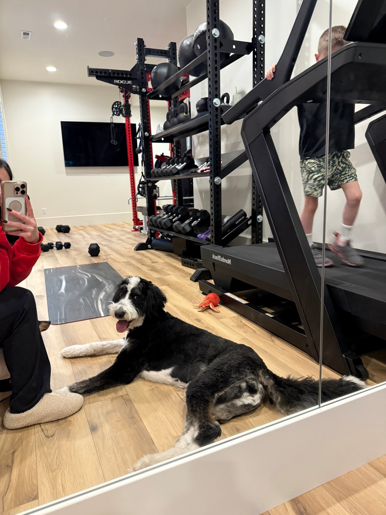 We love this treadmill! There are so many cool features and workout options. 

#LTKHome #LTKdayinmylife #LTKActive