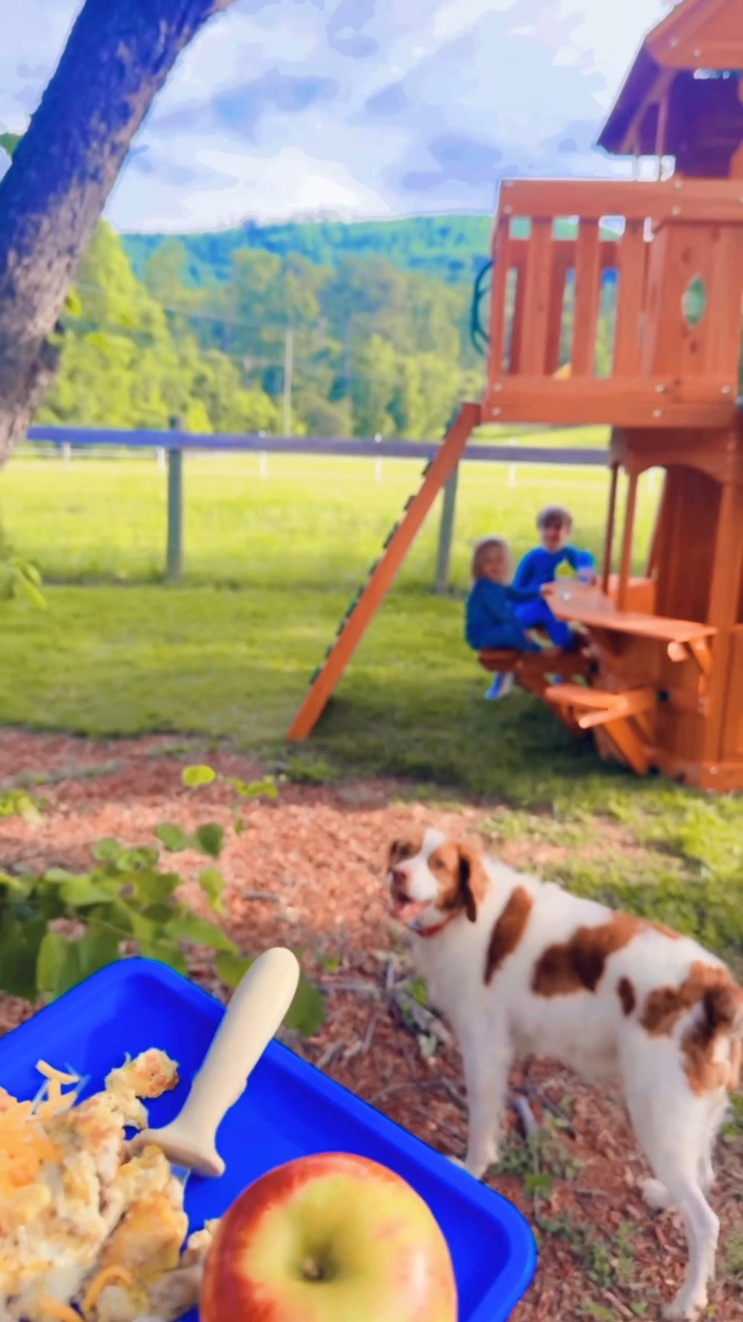 Per the babies’ request… breakfast 🍳 was served outside 🌿 on the new playset picnic 🧺 table this morning!! 😋 They thought this was the absolute best (!!) thing ever 🤩 and is probably going to be a fun little tradition for us now!! 🫶🏽🐓🛝🌾