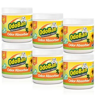 14 oz. Citrus Solid Odor Absorber, Odor Eliminator for Smoke Odor and Musty Smell in Home, Bathroom, Pet Areas (6-Pack) | The Home Depot