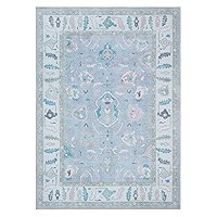 Fame Rugs Lavender Modern Oushak Rug 3x5, Washable Vintage Turkish Colorful Oriental Antique Insp... | Amazon (US)