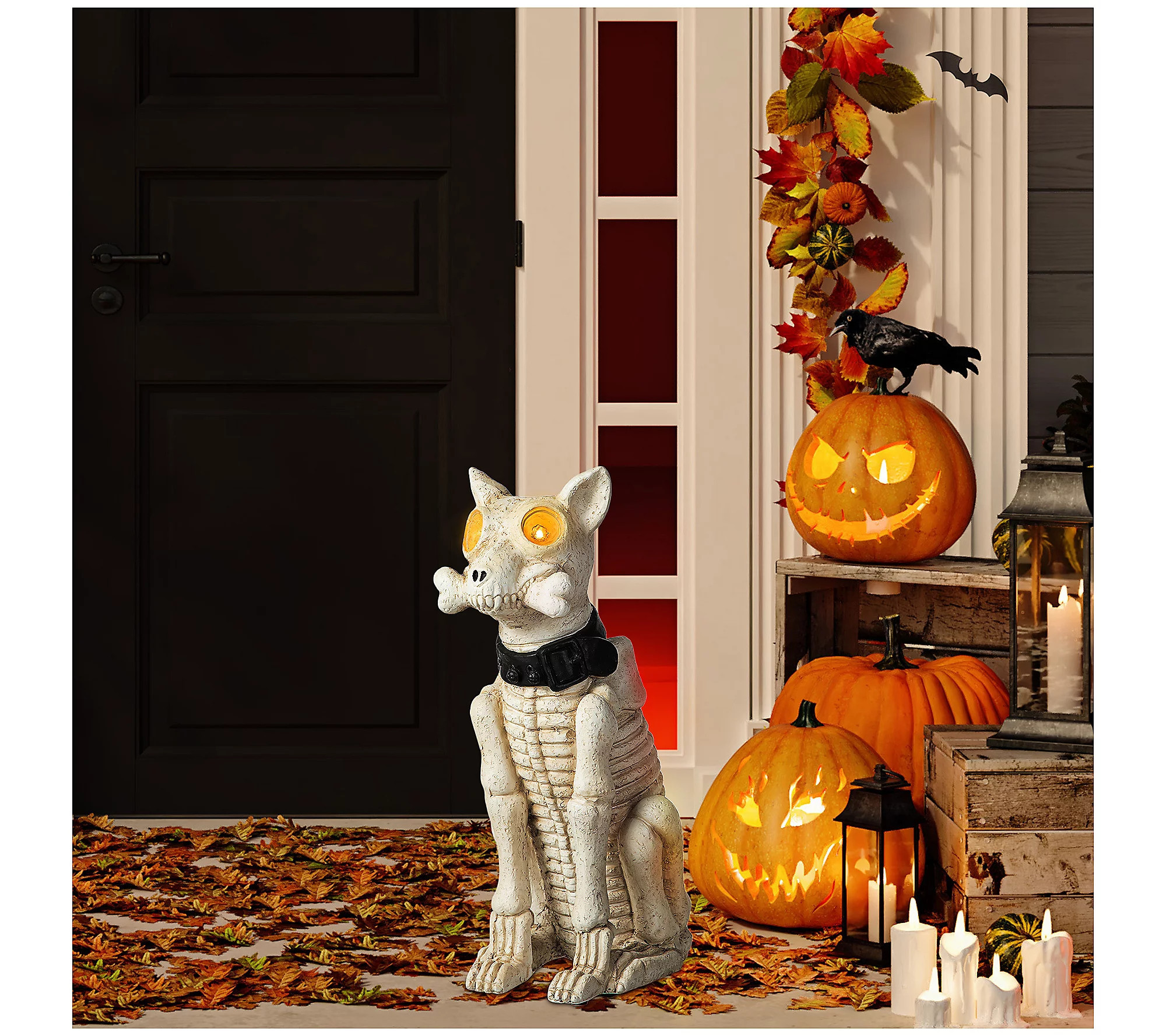 Glitzhome 20.50''H Ligted Halloween Skeleton Do g Porch Decor | QVC