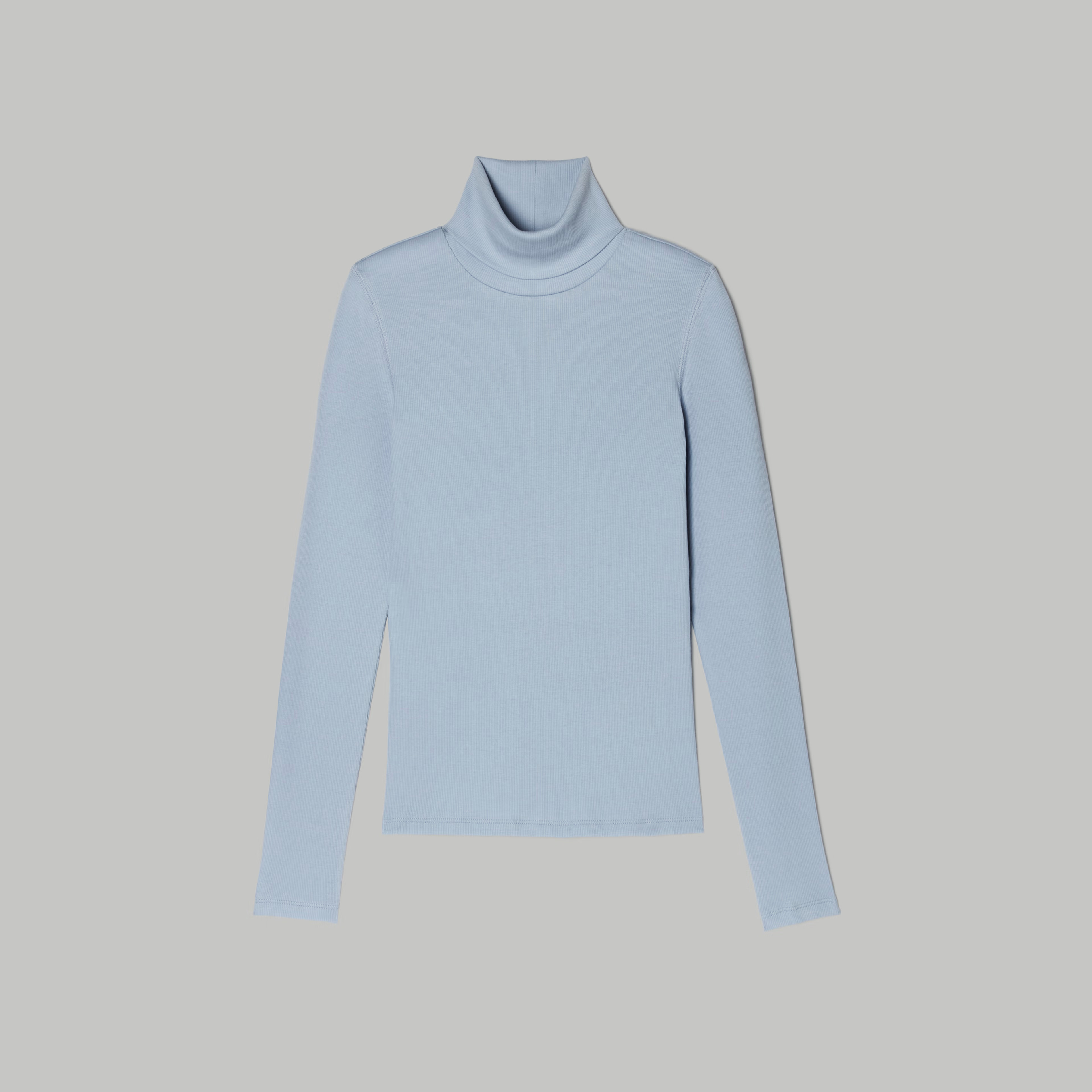The Pima Micro-Rib Turtleneck | Everlane