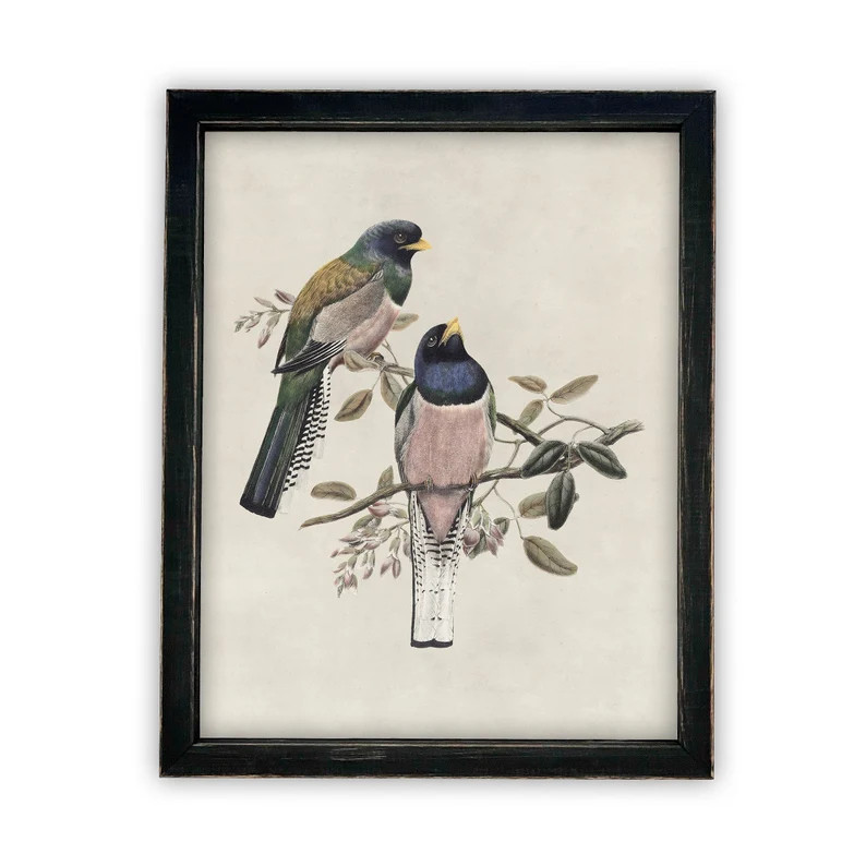 Vintage Framed Canvas Art  // Framed Vintage Print // Vintage Painting // Birds Art // Girls Room... | Etsy (US)