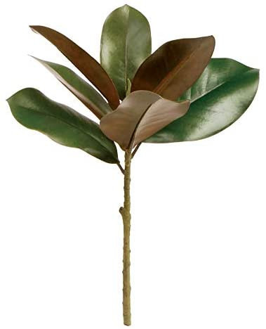 Napa Home & Garden Magnolia Pick 16" | Amazon (US)