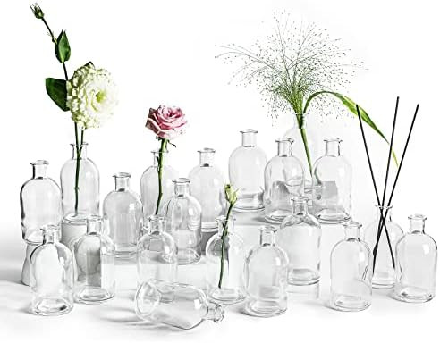 DeaTee Glass Bud Vase for Flowers Set of 20, Small Bud Vases for Centerpieces, Cute Mini Flower V... | Amazon (US)