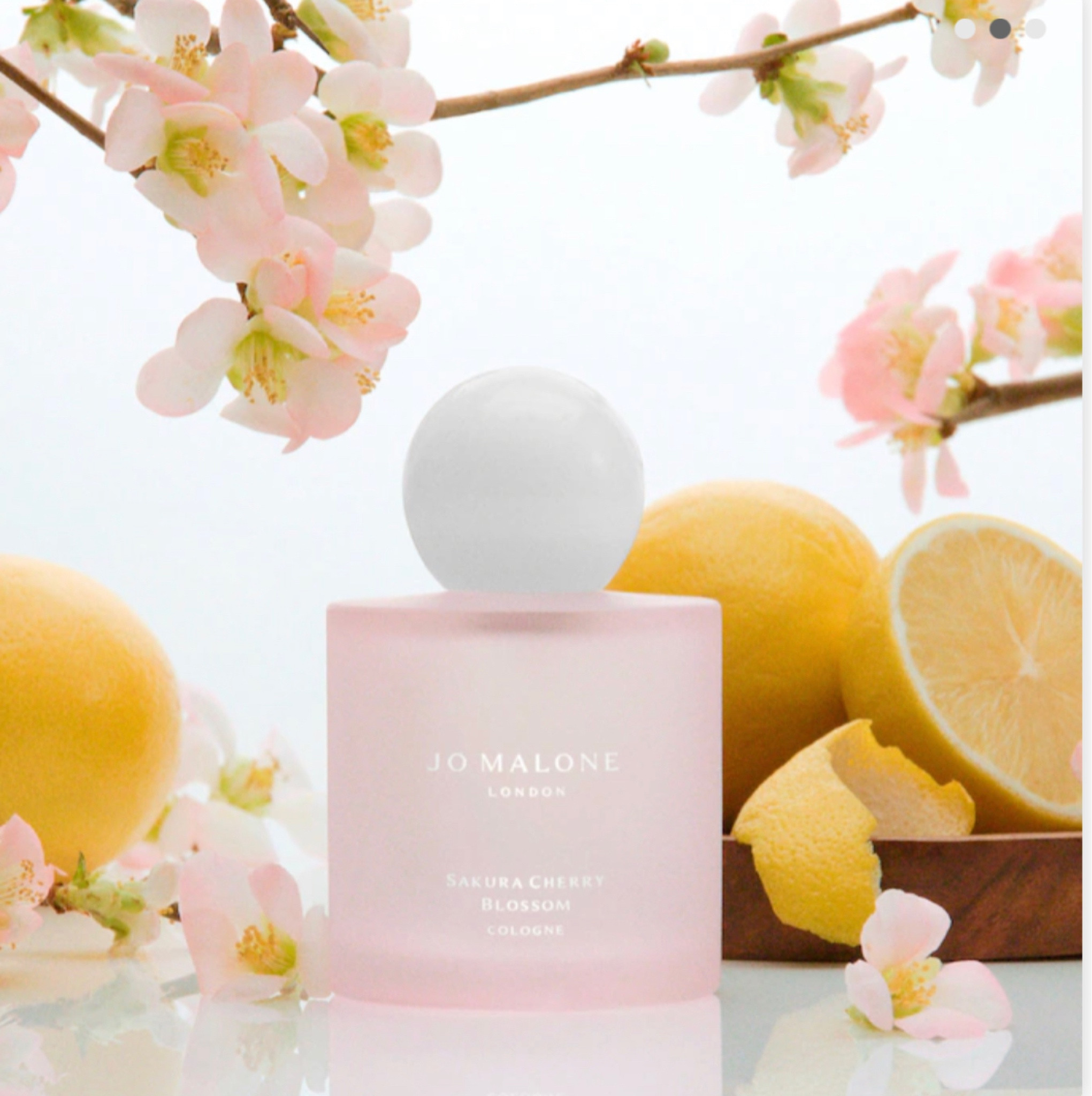 Sakura Cherry Blossom - Jo Malone … curated on LTK