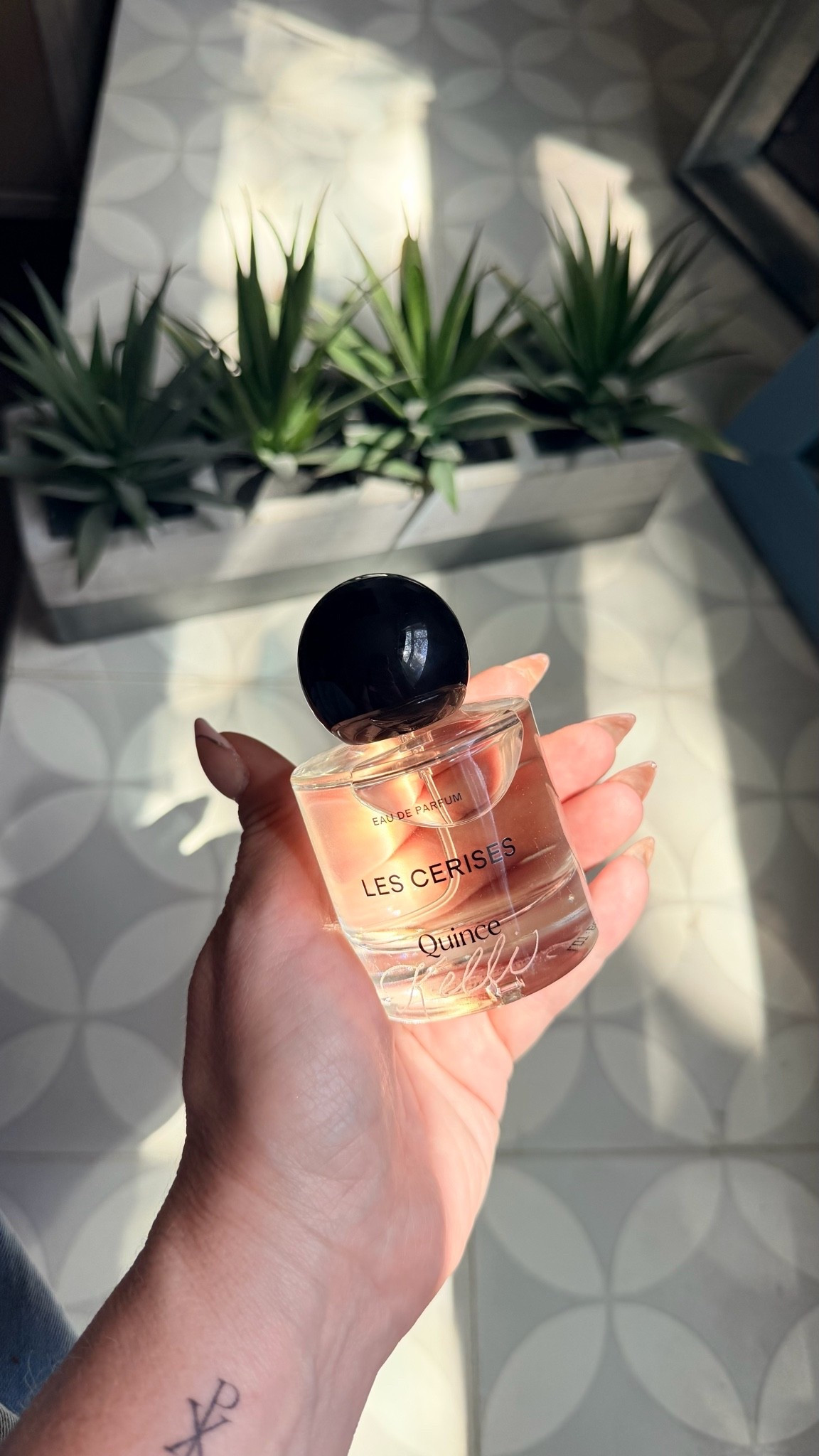 Smells DIVINE ✨

#LTKselfcare #LTKBeauty #LTKgrwm
