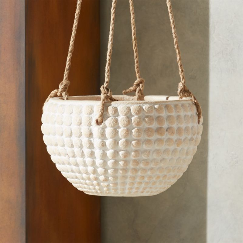 Zola Medium Hanging Dot Planter + Reviews | CB2 | CB2