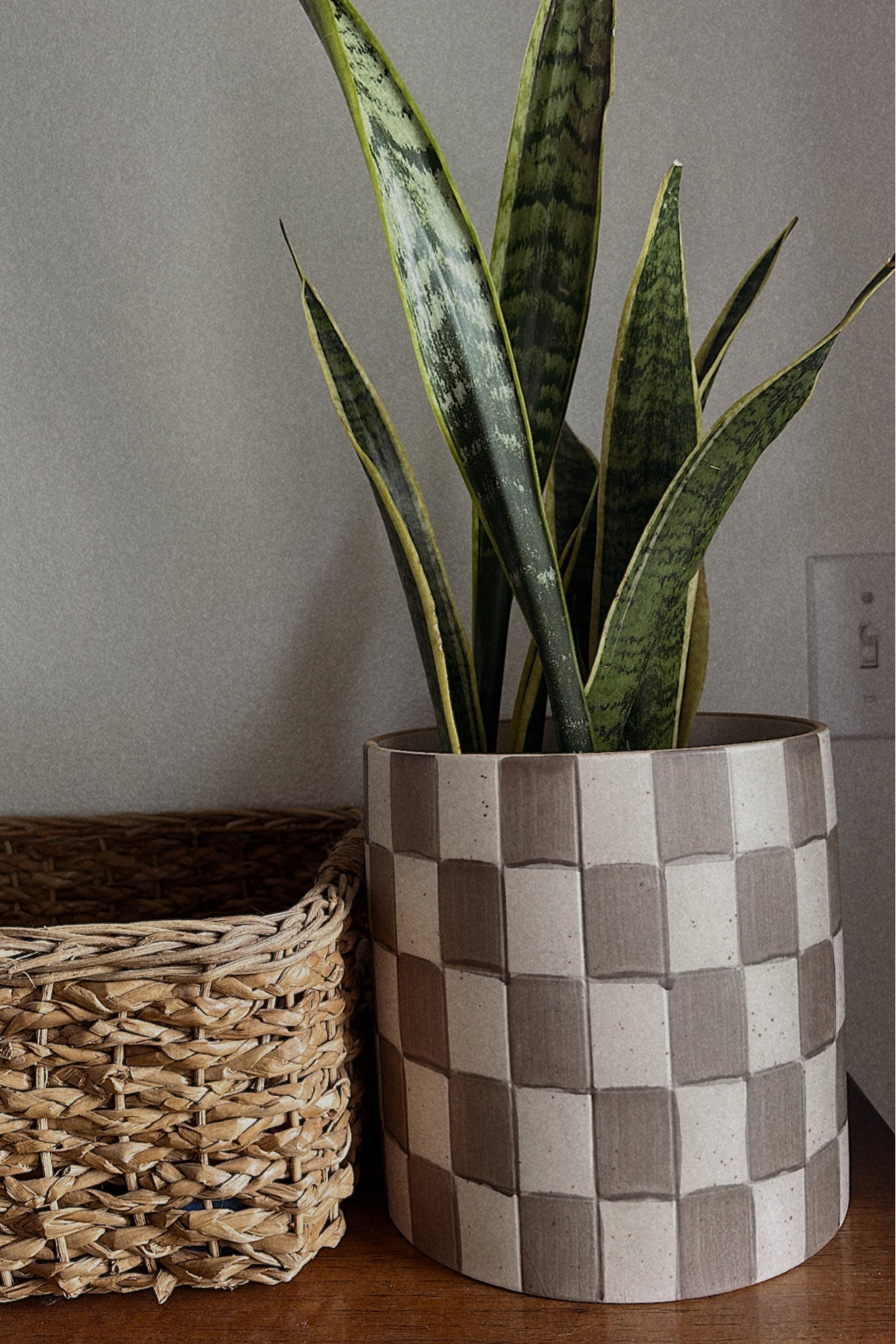 Check out this super cute checkered plant pot and some of my other target favs 

#LTKSaleAlert #LTKHome #LTKMidsize