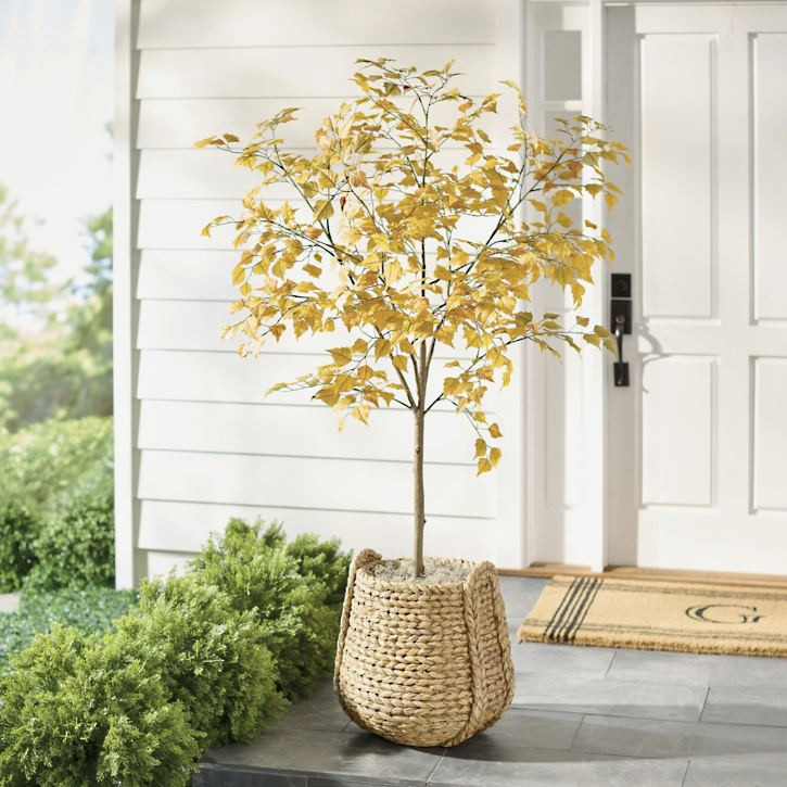 Golden Autumn Tree | Grandin Road | Grandin Road