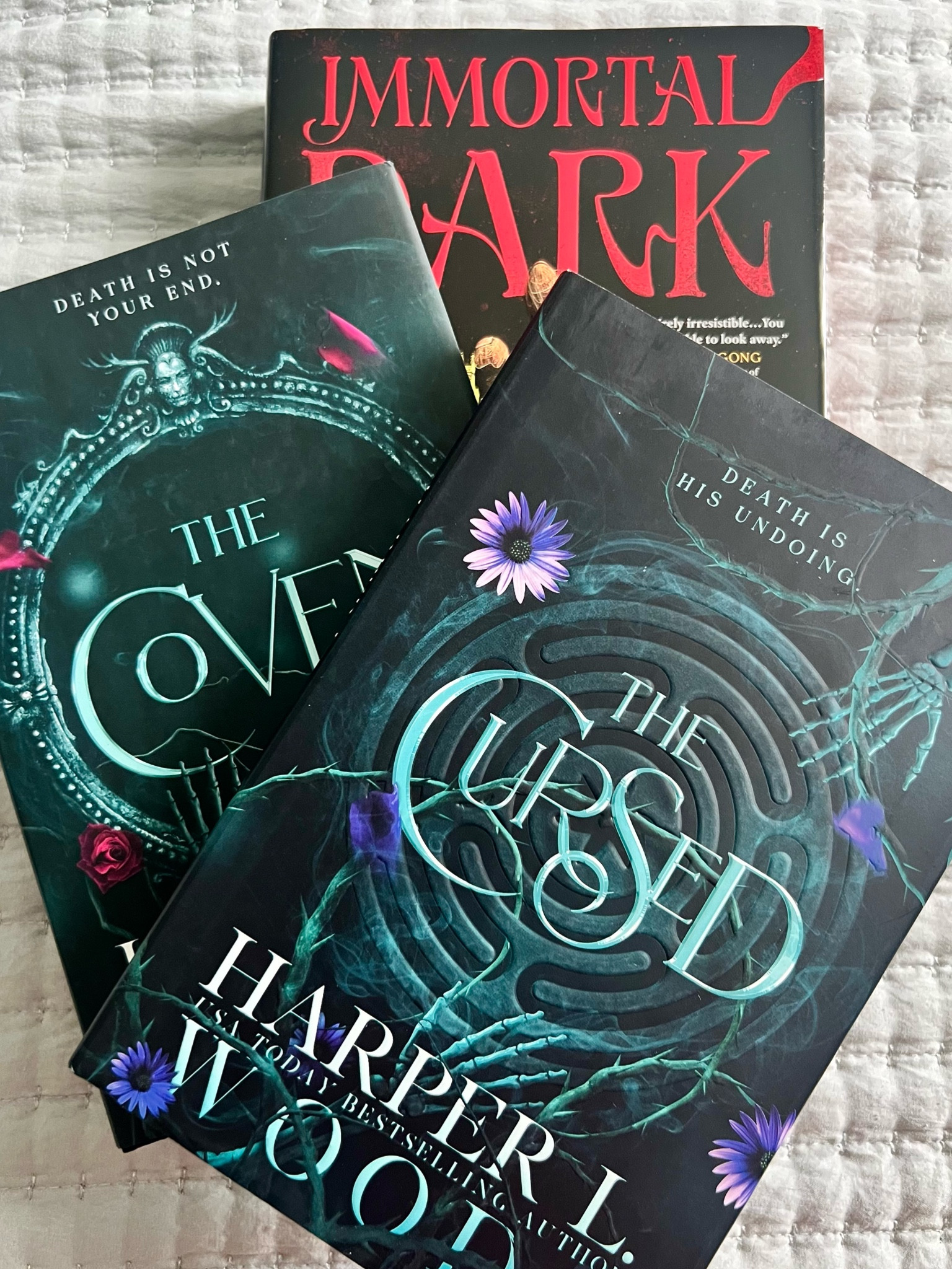 My most anticipated Spooky Season Book Recs for Fantasy Lovers 👻🎃🖤

#LTKHalloween #LTKSeasonal #LTKFallSale