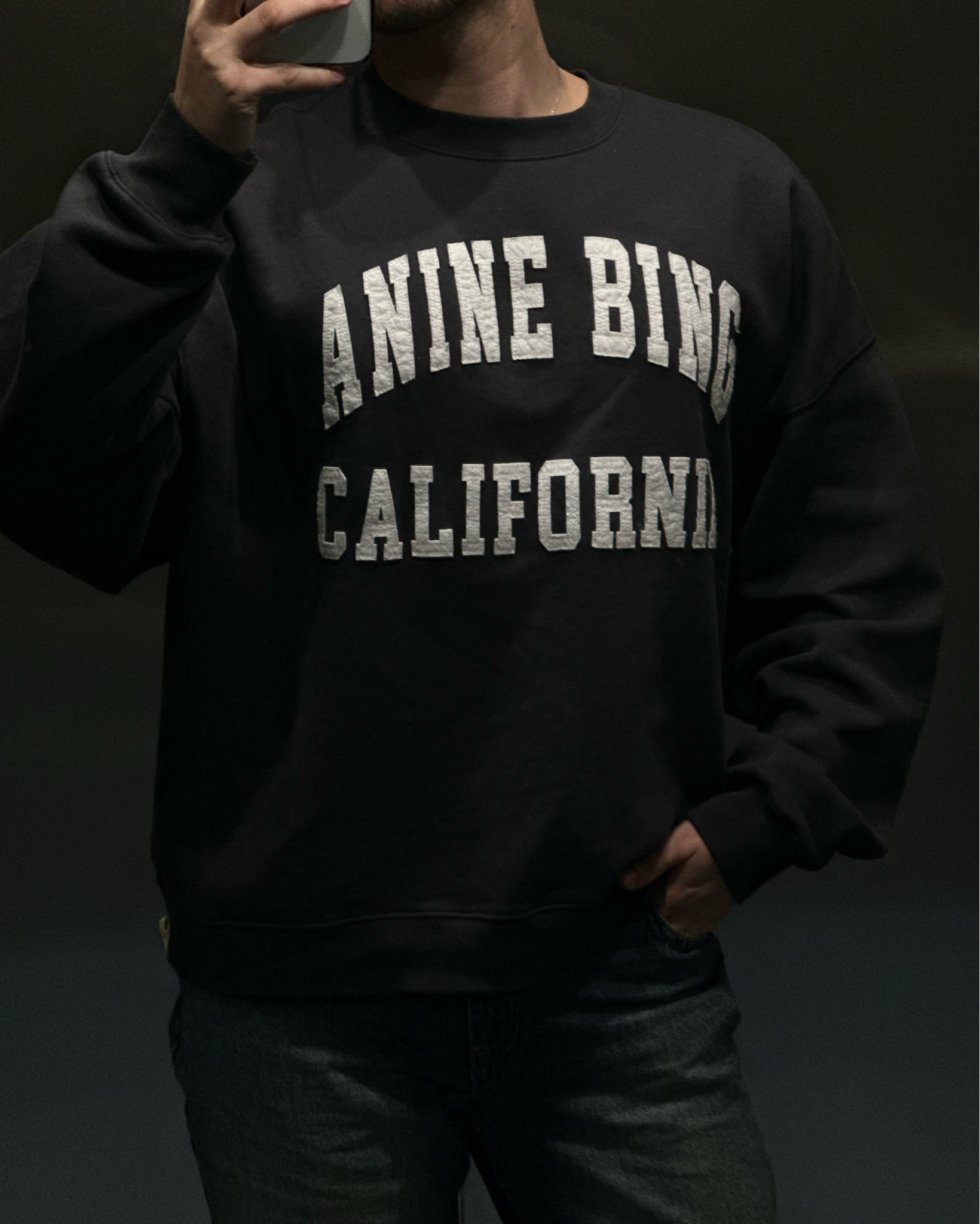 Comfy days >>> 
Sweatshirt, anine bing, anine bing sweatshirt, jumper, cozy, spring, transitional, spring, outfit inspiration, designer 

#LTKeurope #LTKstyletip #LTKSeasonal