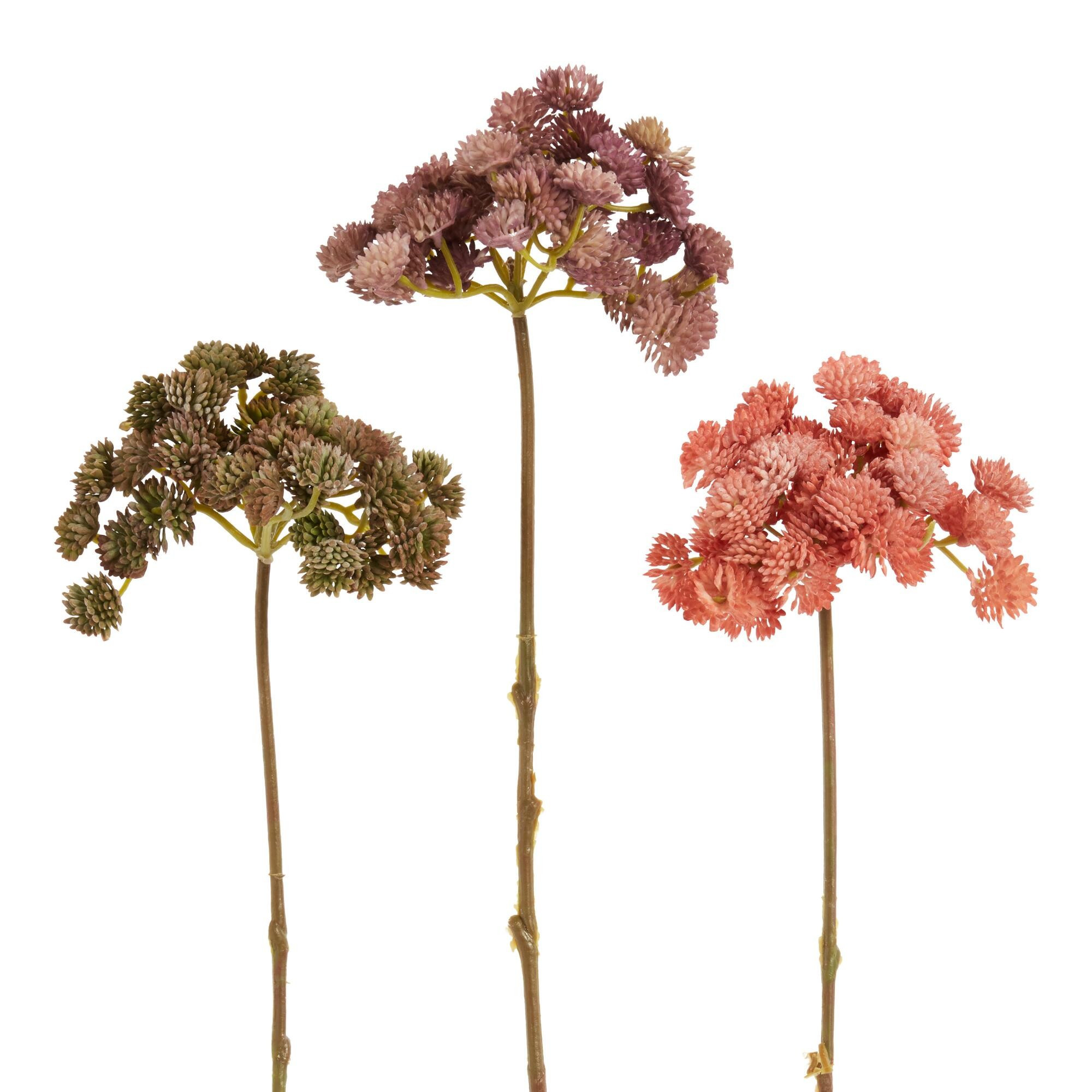 Faux Sedum Stems Set of 3: Multi - Plastic - Small by World Market | World Market