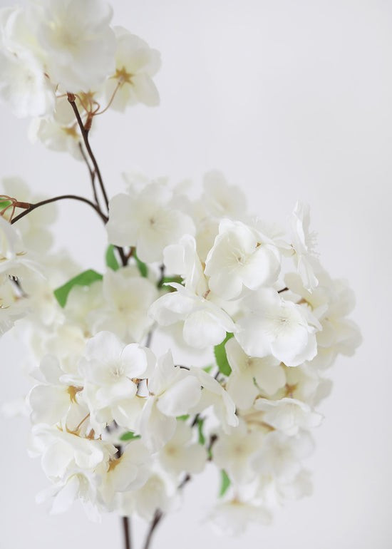 Faux Cherry Blossom in White - 44 | Afloral (US)