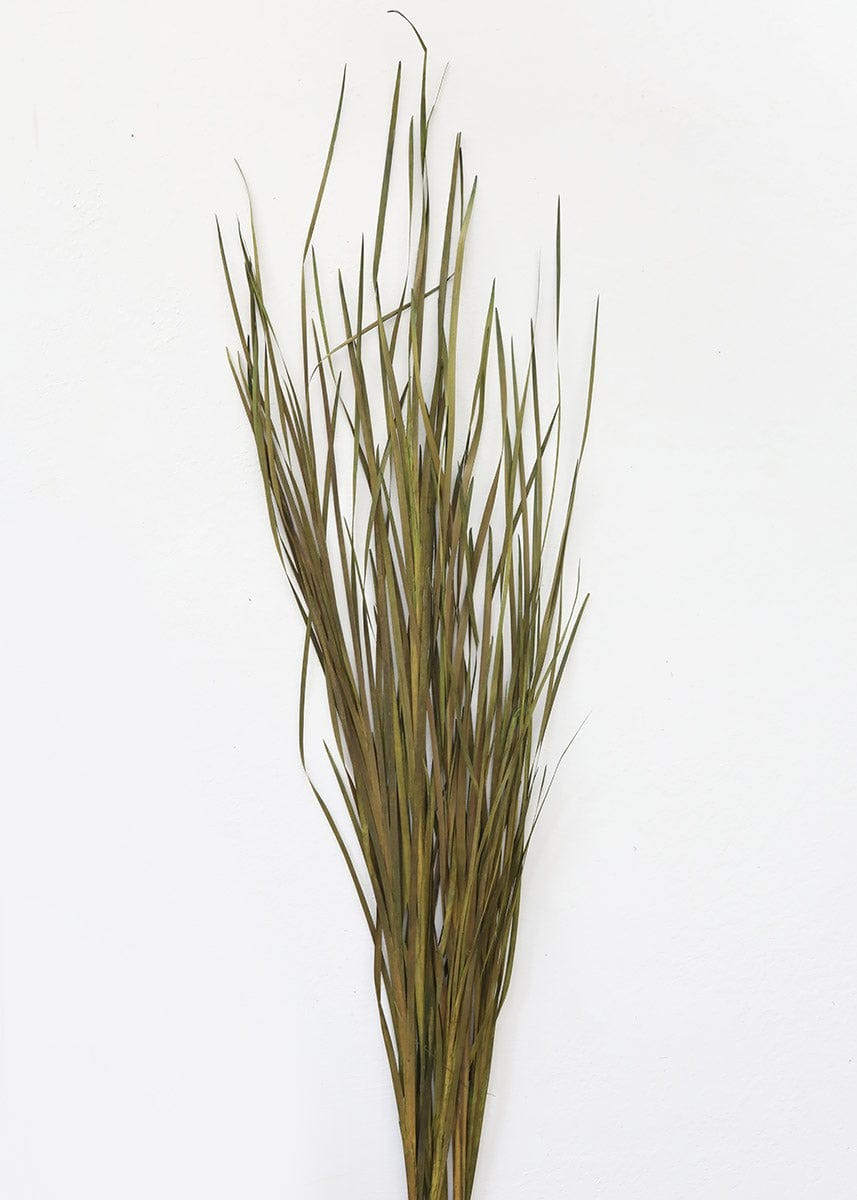 Preserved Green Wild Grass - 45-55 | Afloral (US)