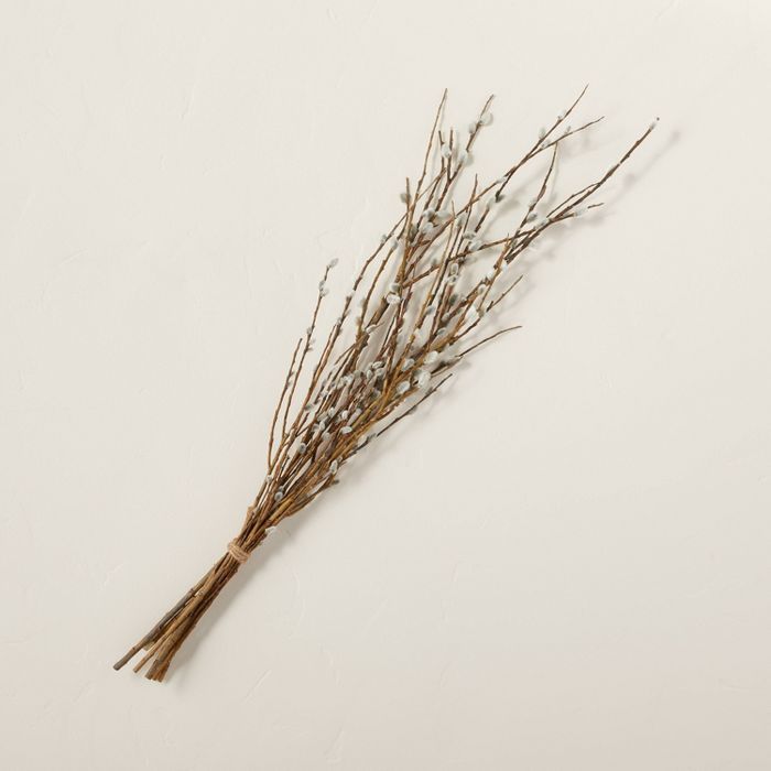 Dried Pussy Willow Twigs Plant Bundle - Hearth &#38; Hand&#8482; with Magnolia | Target