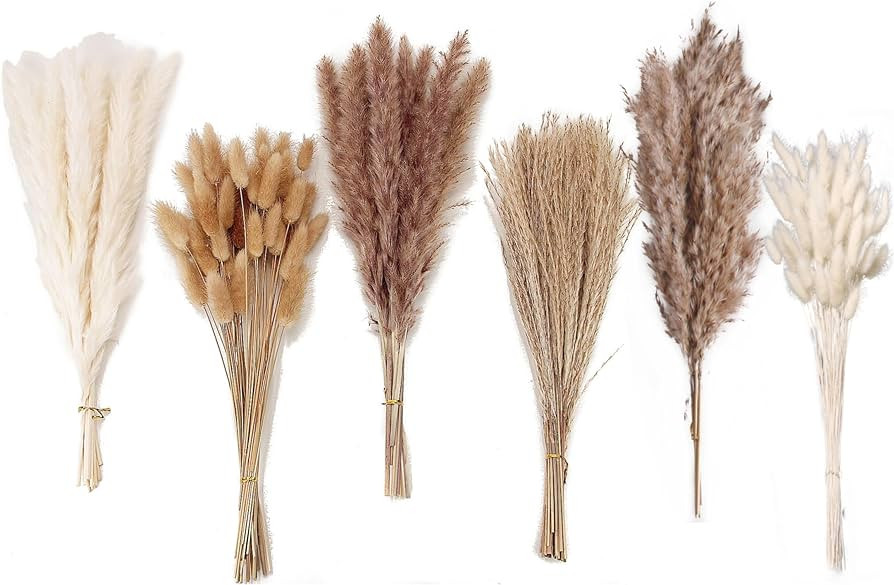 Dried Pampas Grass Decor, 120 PCS Pampas Grass with Bunny Tails Dried Flowers, Reed Grass Bouquet... | Amazon (US)