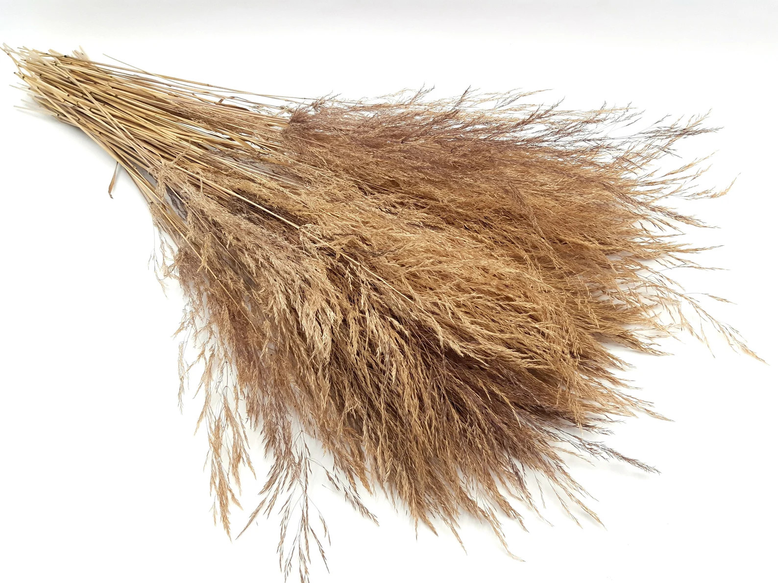 Read the full title
    Fine Wild Grass Bunch, Natural Wild Grass, Dried Wild Grass Bouquet, Drie... | Etsy (US)