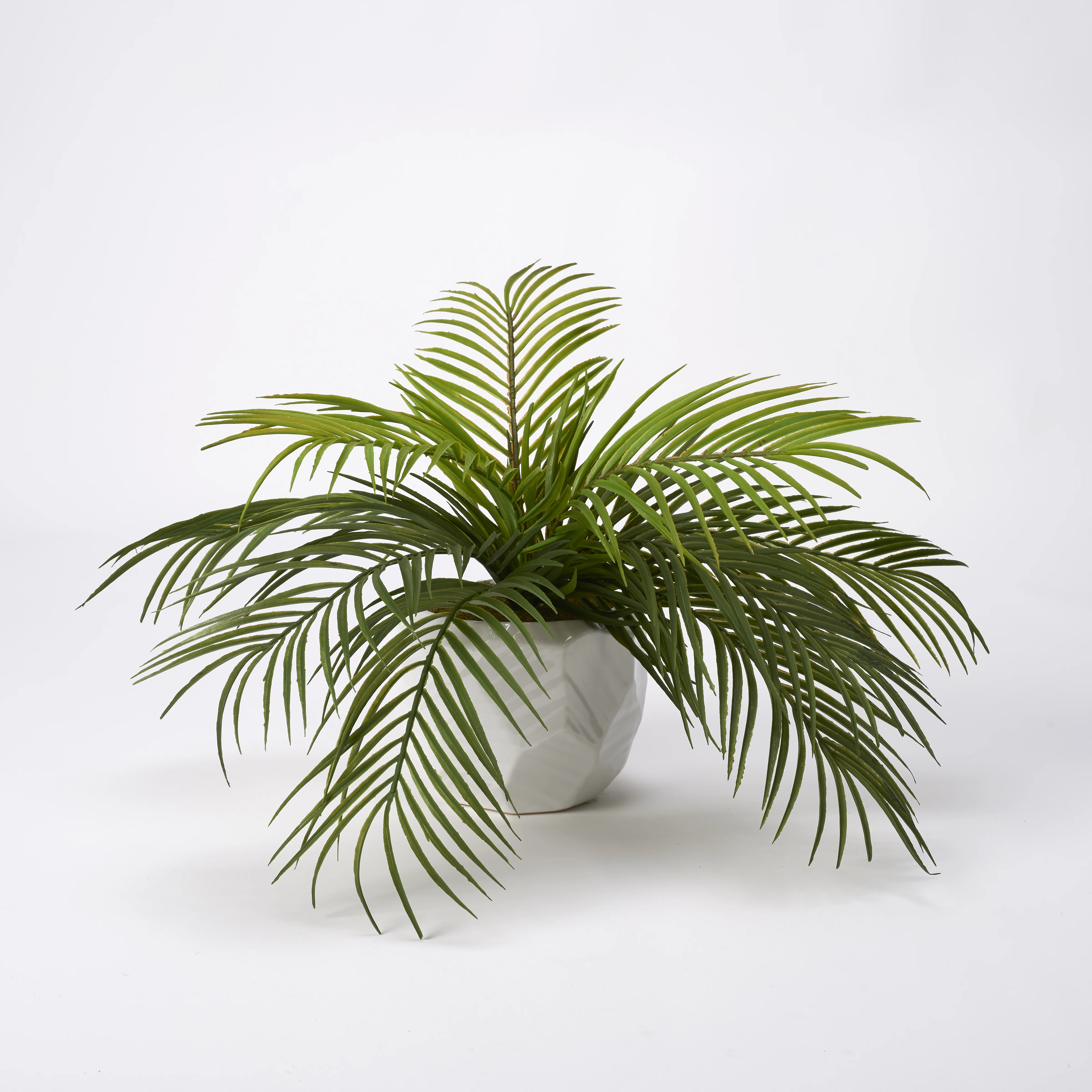Kathie Hawaiian Palm In Ceramic Planter | Wayfair North America