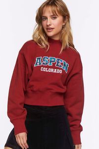 Aspen Colorado Fleece Pullover | Forever 21 (US)