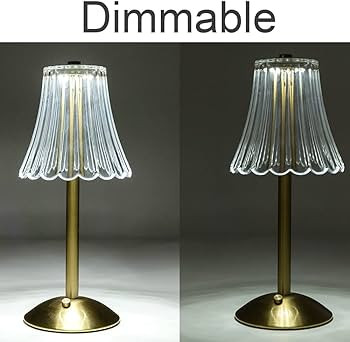 Cordless Table Lamps for Home,Table,Dining Room, Gold Rechargeable Lamps, USB Charge 12'' Tall LE... | Amazon (US)