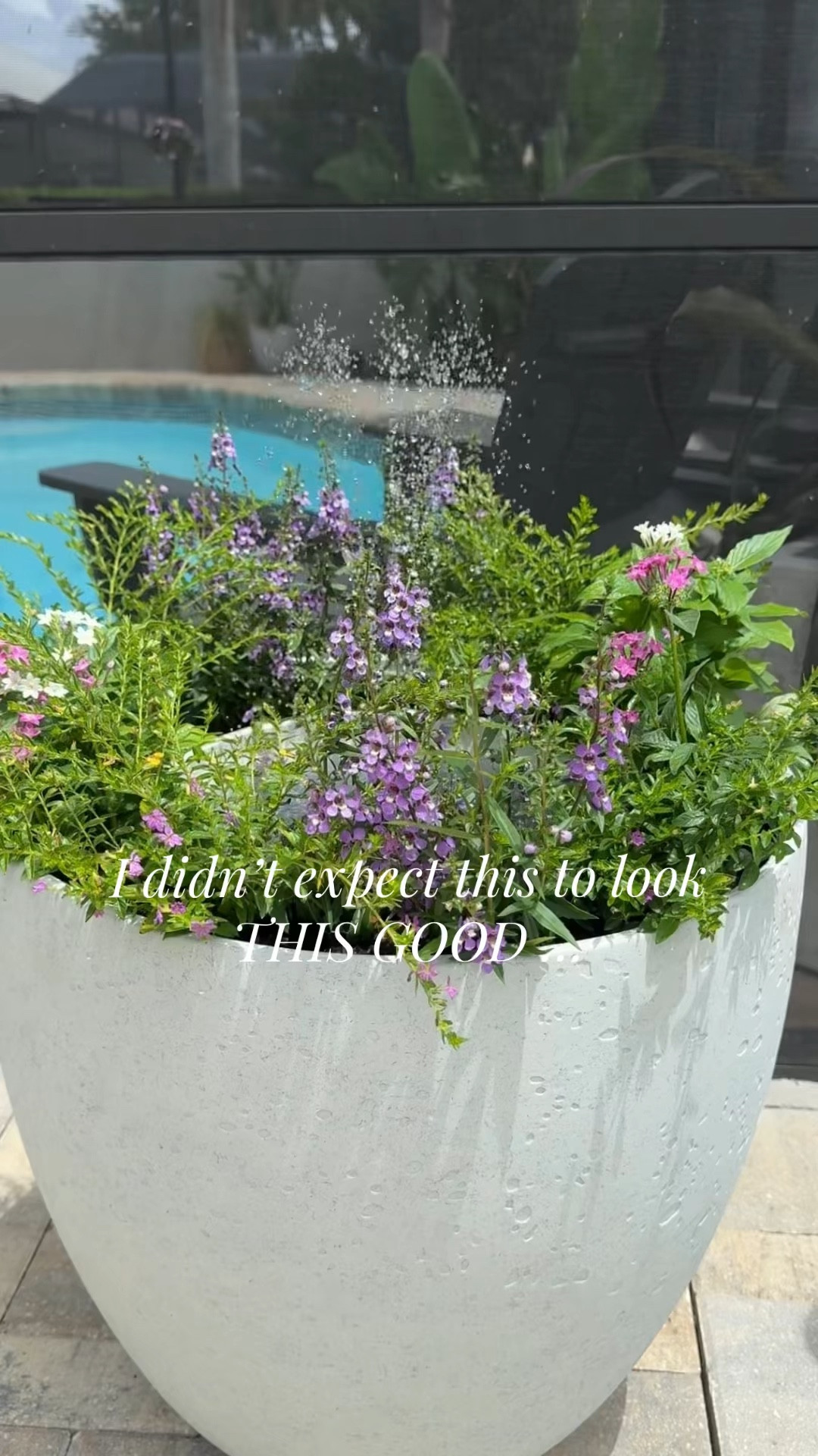 I turned my planter into a mini fountain and now I can’t stop watching it 😍
Solar powered, no cords, and makes your outdoor space feel instantly elevated.
This is one of those little upgrades that looks way more expensive than it is 👏 #OutdoorDecor #GardenInspo #AmazonHome #PatioRefresh#lowes

#LTKgrwm #LTKHome