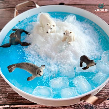 Frozen 🥶 Arctic Polar Bear Sensory Bin 

#LTKBaby #LTKKids #LTKFamily