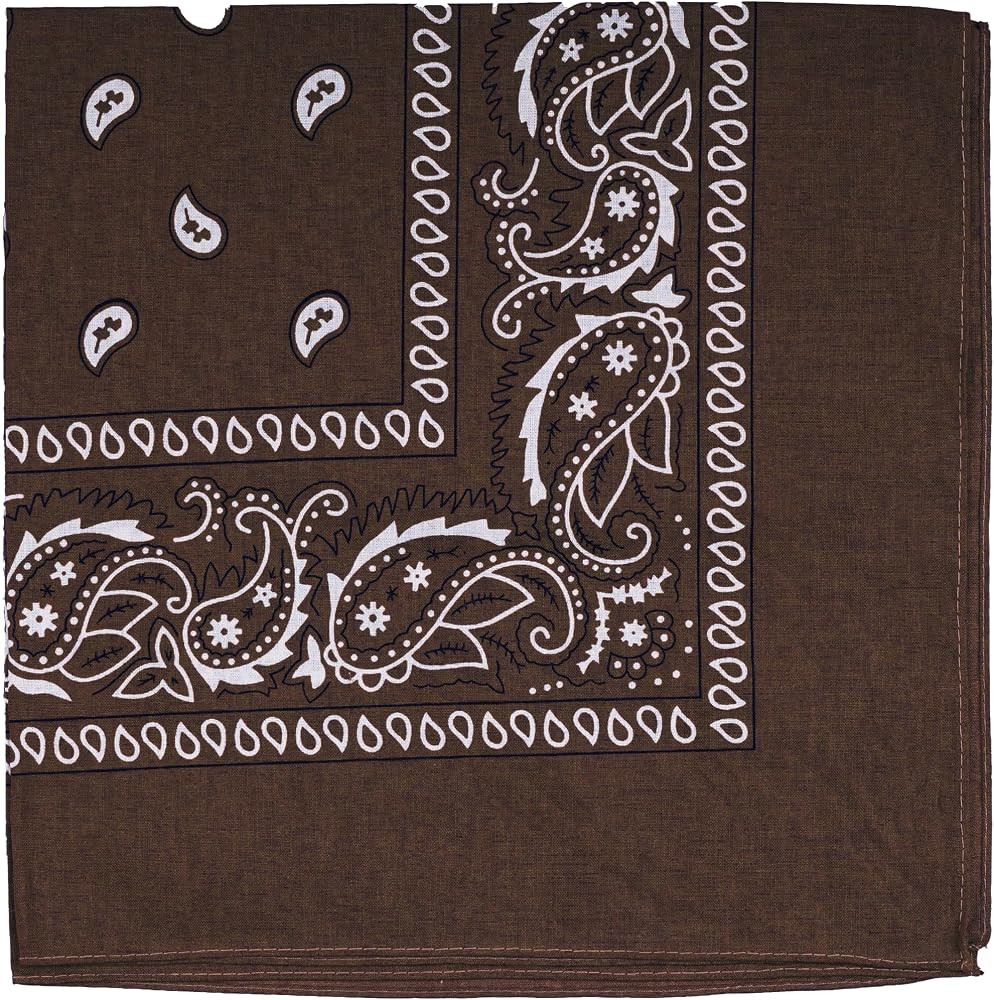 Raylarnia 100% Cotton Bandanas, 22" Paisley Bandana Headbands for Men Women | Amazon (US)